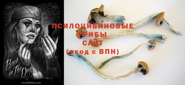 каннабис Майский