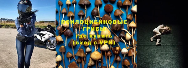бутират Медвежьегорск