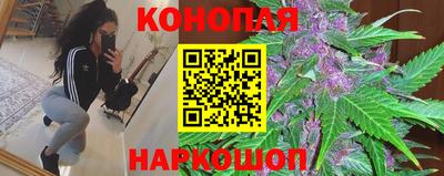 молекула духа Волжский
