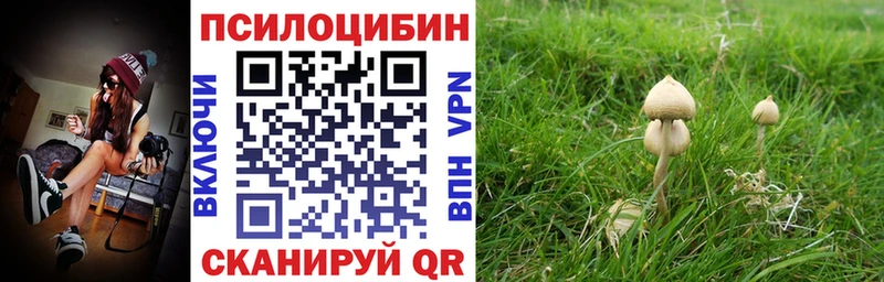 Псилоцибиновые грибы прущие грибы  Мариинск 