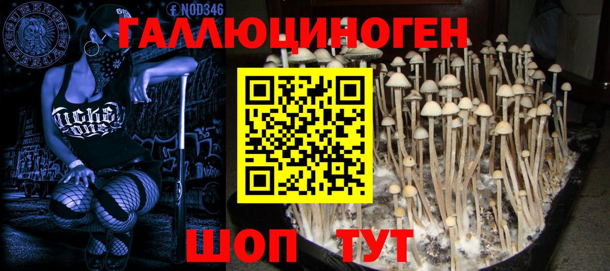 Псилоцибиновые грибы прущие грибы  Галлюциногенные грибы прущие грибы  Вход с VPN  Мариинск 
