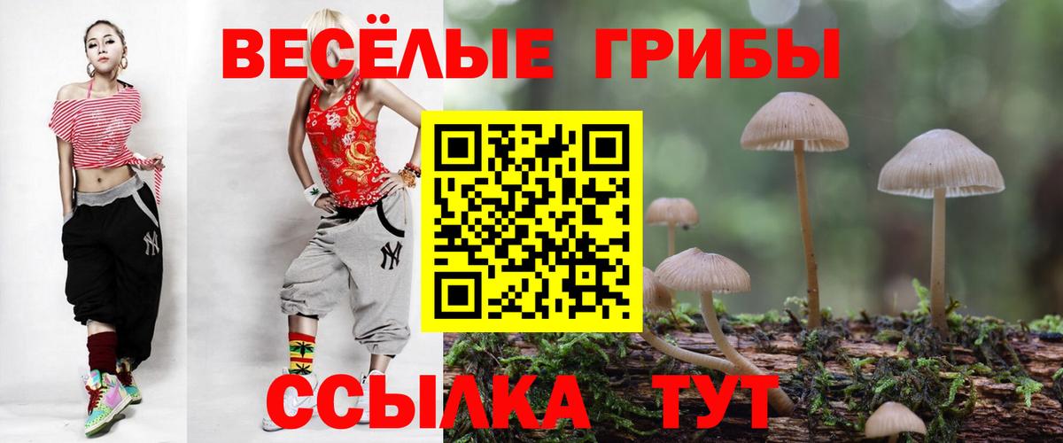 Псилоцибиновые грибы MAGIC MUSHROOMS Мариинск