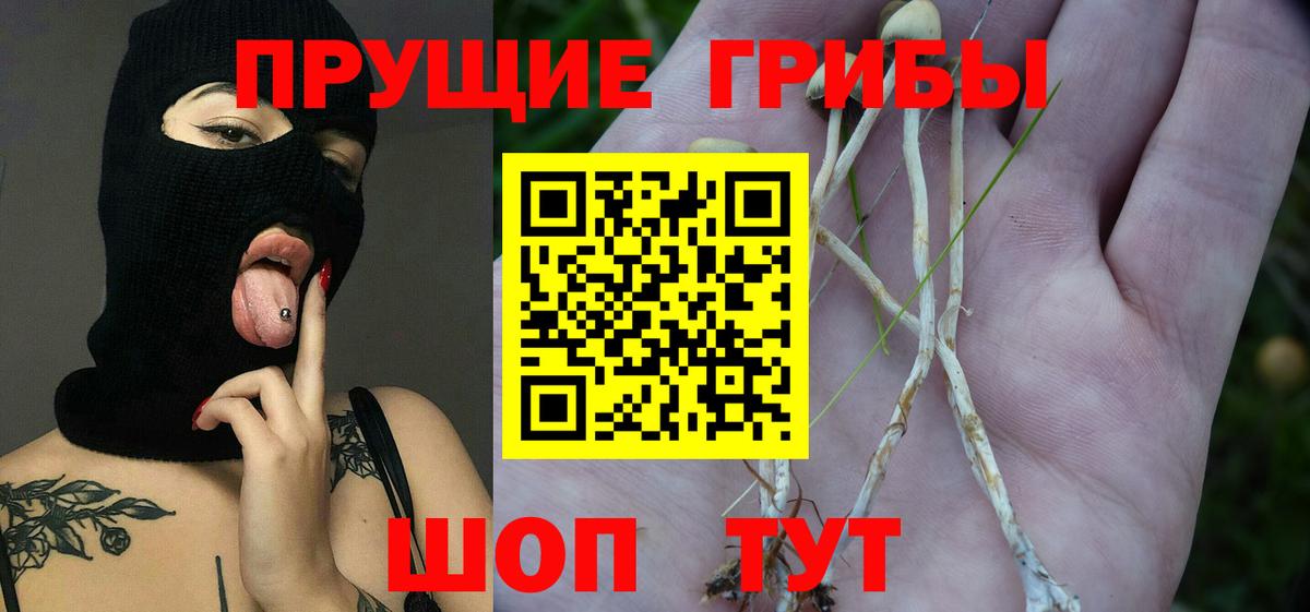 Галлюциногенные грибы GOLDEN TEACHER Мариинск