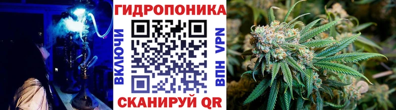 Марихуана план  гидра маркетплейс  Мариинск 